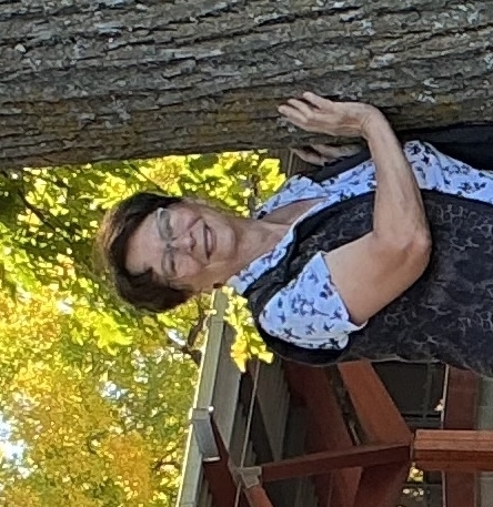 Photo moiarbre